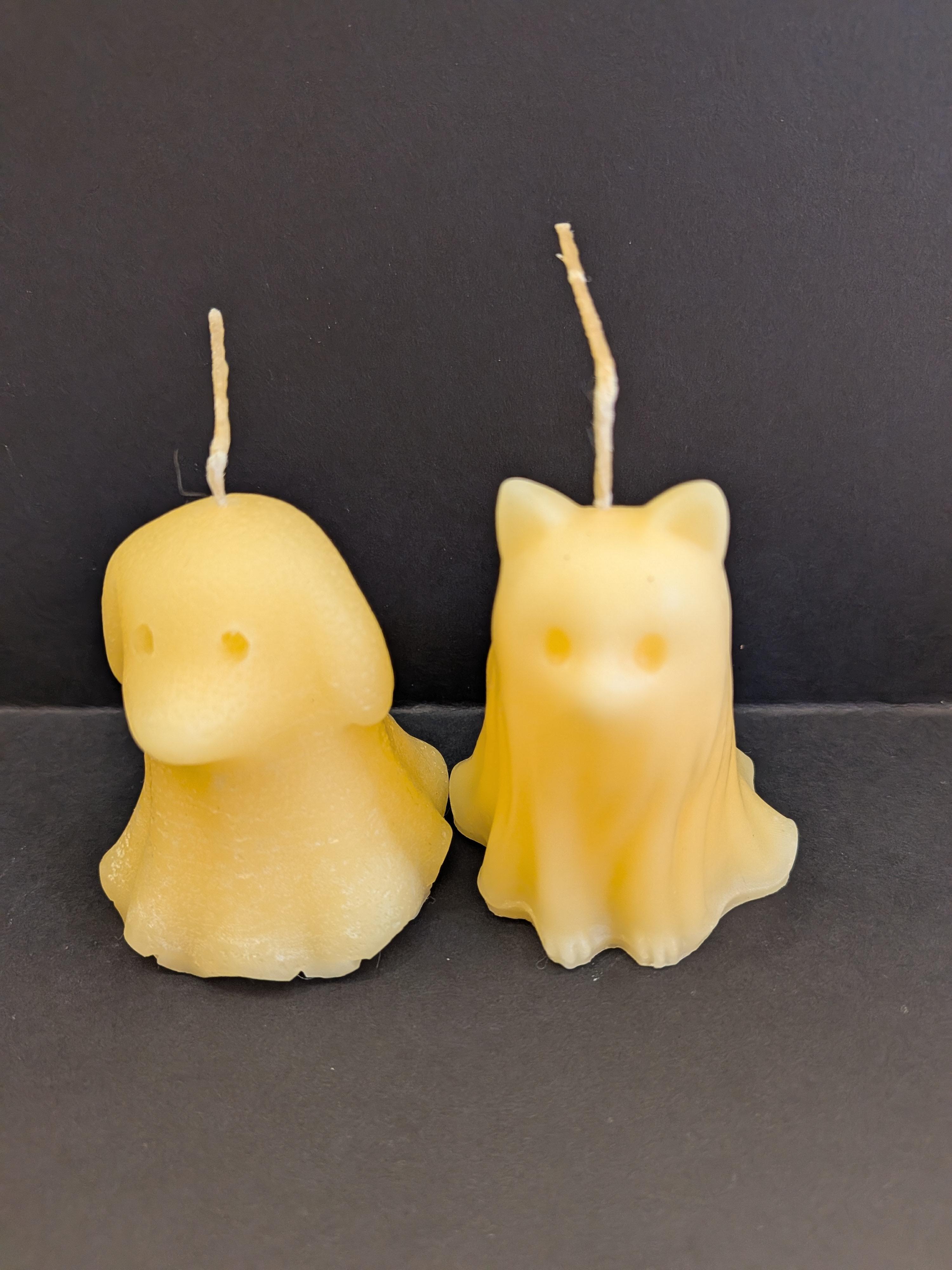 A photo of Spirit Animals