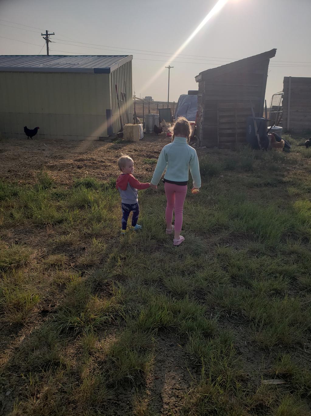 Two Huber children walking hand in hand past the chicken coop at sunrise